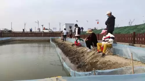 天涯明月刀河蟹在哪里钓　怎么钓螃蟹-第12张