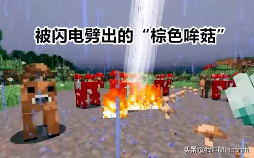 我的世界哞菇被雷劈后会变成什么　我的世界哞菇生成条件-第2张