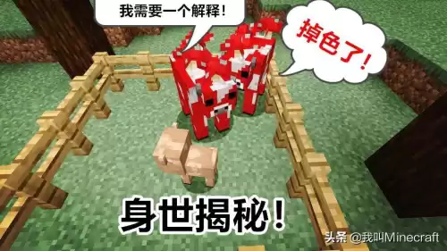 我的世界哞菇被雷劈后会变成什么　我的世界哞菇生成条件-第4张