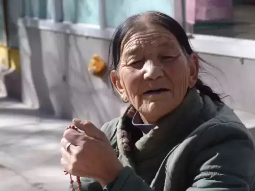 卡布西游金殿在哪　卡布西游海龙马在哪里-第4张