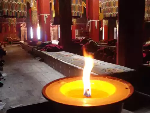 卡布西游金殿在哪　卡布西游海龙马在哪里-第6张