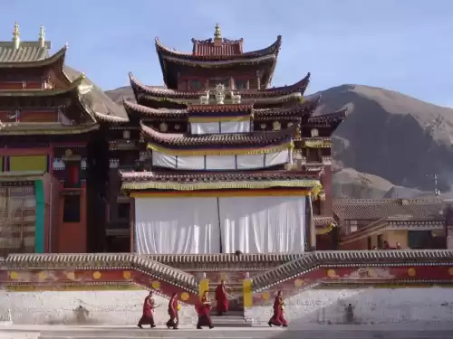卡布西游金殿在哪　卡布西游海龙马在哪里-第7张