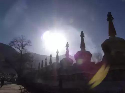 卡布西游金殿在哪　卡布西游海龙马在哪里-第15张
