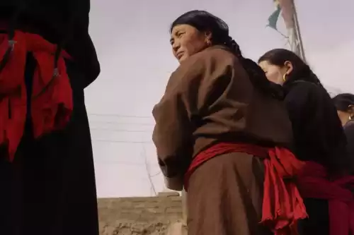卡布西游金殿在哪　卡布西游海龙马在哪里-第20张