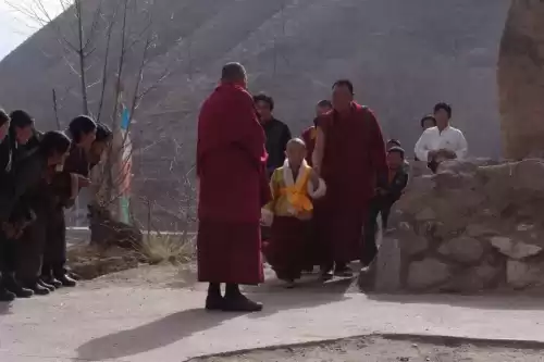 卡布西游金殿在哪　卡布西游海龙马在哪里-第21张
