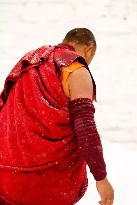 卡布西游金殿在哪　卡布西游海龙马在哪里-第29张