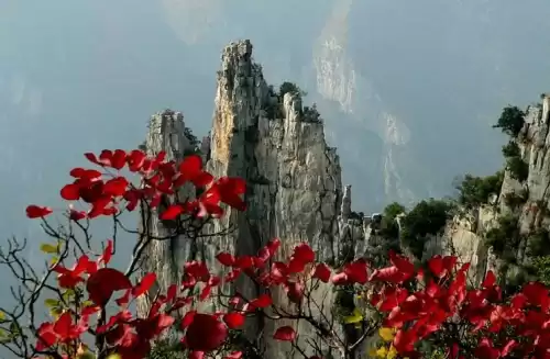梦幻西游重庆区神女峰　梦幻西游重庆区洪崖洞怎么样-第2张
