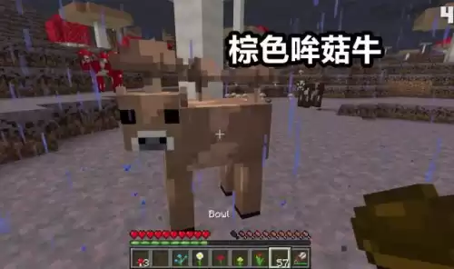 棕色哞菇和粉红羊谁稀有　我的世界哞菇生成条件-第3张