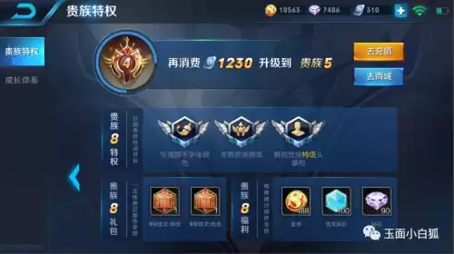 王者荣耀能送金币吗　王者荣耀的金币能赠送吗-第4张