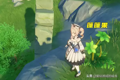 原神蓬蓬果为什么不能交互了　莲蓬是什么的果实-第7张
