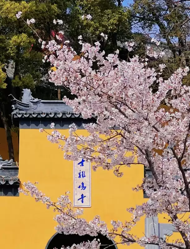 南京旅游景点有哪些好玩的　南京网红打卡景点-第6张