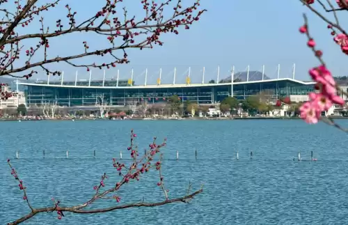 南京旅游景点有哪些好玩的　南京网红打卡景点-第11张