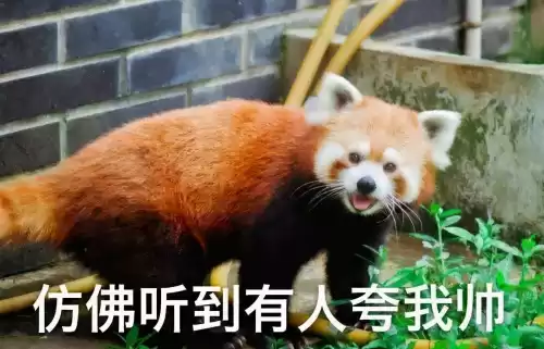369喝酒游戏怎么玩　适合一群人喝酒玩的游戏-第8张