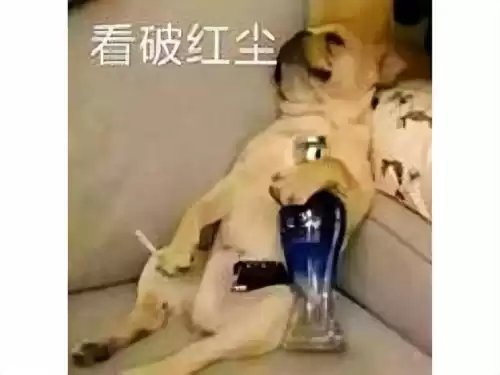 剑灵台服怎么充值　台服剑灵人多吗-第1张