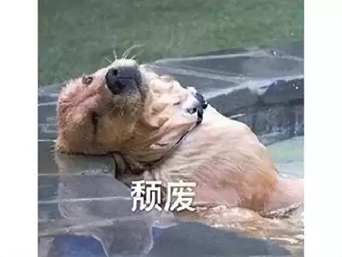 剑灵台服怎么充值　台服剑灵人多吗-第5张