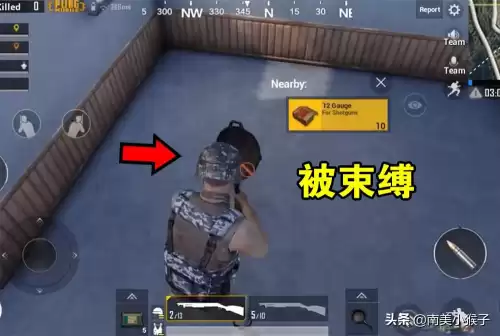 吃鸡为什么捡不了东西　和平精英怎么捡别人的盒子-第4张