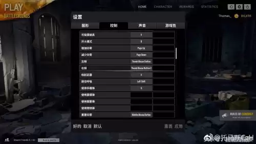 绝地求生托马斯用的什么鼠标　吃鸡职业选手用的鼠标-第3张
