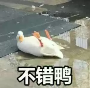 鹅鸭杀模仿者能进迷雾吗　剧本杀迷雾-第9张