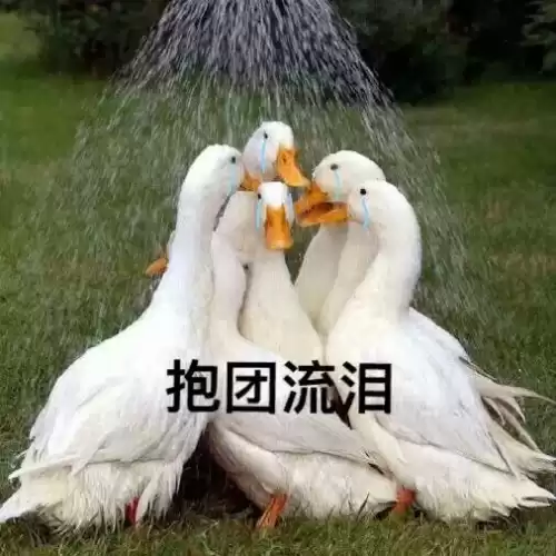 鹅鸭杀模仿者能进迷雾吗　剧本杀迷雾-第25张