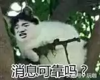玩王者的妹子多还是吃鸡　王者吃鸡哪个更受欢迎-第2张