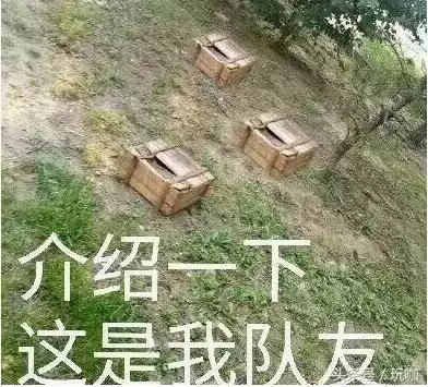 玩王者的妹子多还是吃鸡　王者吃鸡哪个更受欢迎-第15张