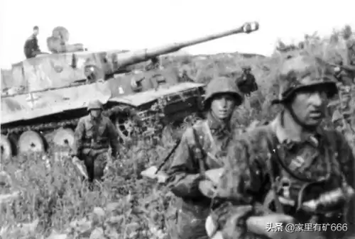 德军总部瓦尔特豪塞尔在哪　默恩塞尔海上堡垒-第8张