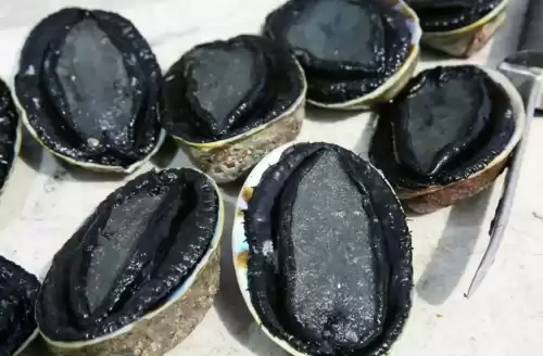 蓝龙虾和澳龙哪个贵　世界上最贵的20种海鲜-第6张