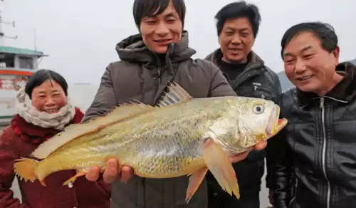 蓝龙虾和澳龙哪个贵　世界上最贵的20种海鲜-第11张