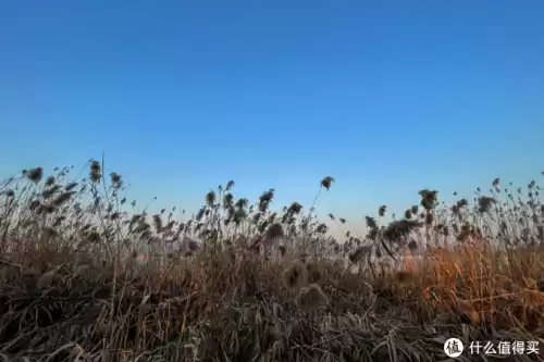 迷你世界手机版怎么开60帧　迷你世界帧率-第16张