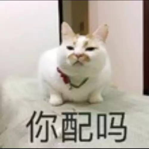 ig战队有几个韩国人　王者荣耀ig战队有哪些人-第1张