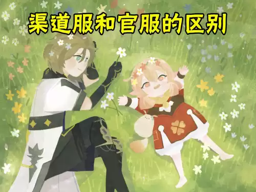 怎么区分原神小米服和官服　原神小米服可以和官服玩吗-第4张