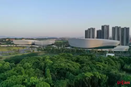 今年cf世界总决赛冠军是谁　白鲨战队世界冠军-第2张