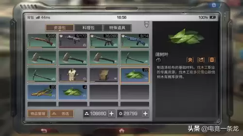 明日之后阔树叶在哪里砍　明日之后伐木工几级可以看到阔树叶-第2张