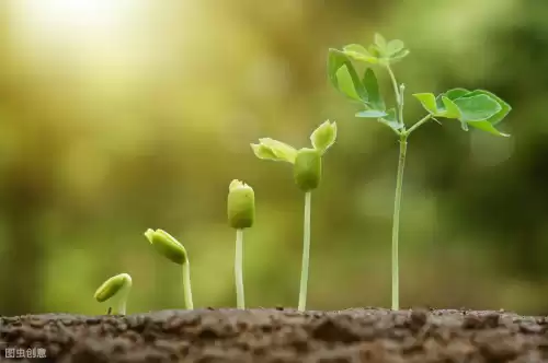 爱的最后是无尽的苍穹是什么意思 爱的开始是-第1张