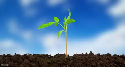 爱的最后是无尽的苍穹是什么意思 爱的开始是-第6张