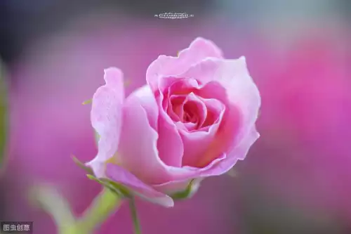 爱的最后是无尽的苍穹是什么意思 爱的开始是-第8张