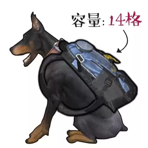 明日之后狗孱弱怎么办　明日之后落单的狗狗-第5张