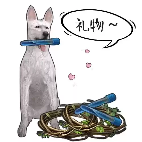 明日之后狗孱弱怎么办　明日之后落单的狗狗-第9张