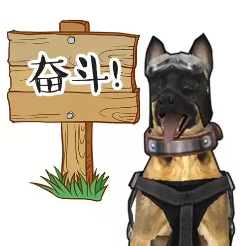明日之后狗孱弱怎么办　明日之后落单的狗狗-第12张
