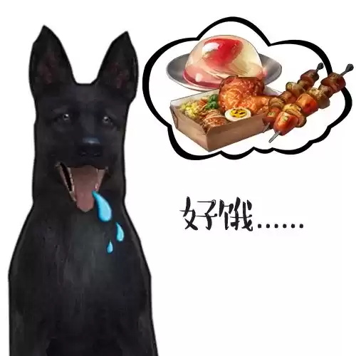 明日之后狗孱弱怎么办　明日之后落单的狗狗-第13张