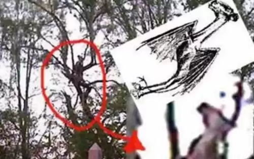 泽西恶魔是真的吗　恶魔的原型是山羊吗-第3张