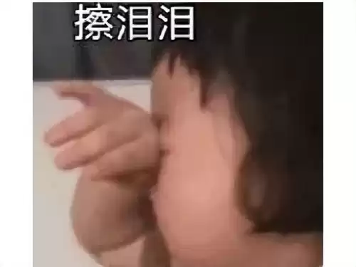 动物大乱斗还叫什么名字　大乱斗里面的宠物怎么来的-第1张