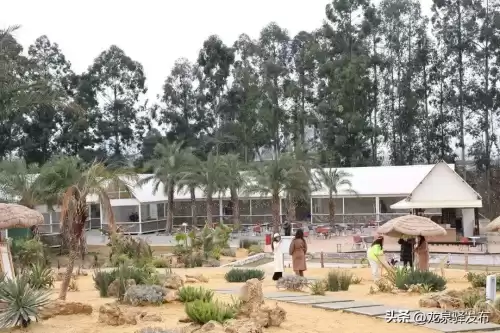 卡丁车可以在公园开吗　卡丁车交警抓吗-第13张