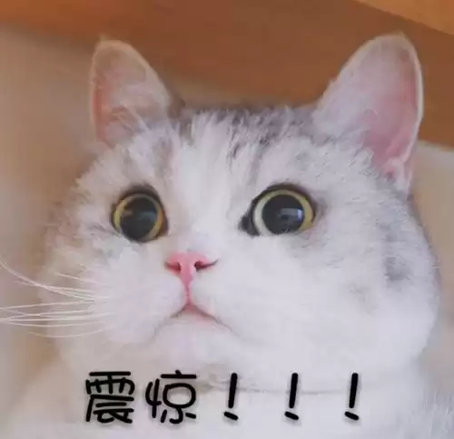 三国志战记2贴吧　三国志战记2-第6张