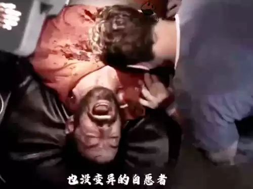 僵尸国度摩飞为什么可以控制丧尸　僵尸国度北极光最后怎么样了-第5张
