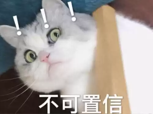 洛克王国策划什么时候换的　洛克王国石顿顿-第7张