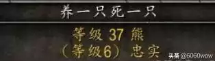魔兽新抓的宝宝怎么提高忠诚度　魔兽世界怀旧服猎人宝宝-第6张