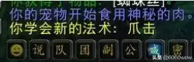 魔兽新抓的宝宝怎么提高忠诚度　魔兽世界怀旧服猎人宝宝-第10张