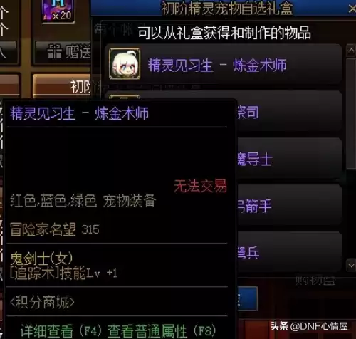 dnf刃影精灵咏叹装扮　DNF刃影时装-第5张
