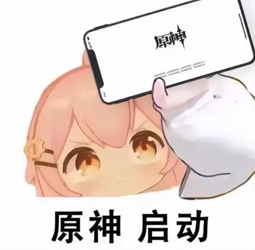 原神梗有哪些　调侃原神的梗-第1张